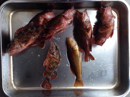 今日もアジュール舞子