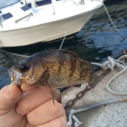 ランガンメバリング