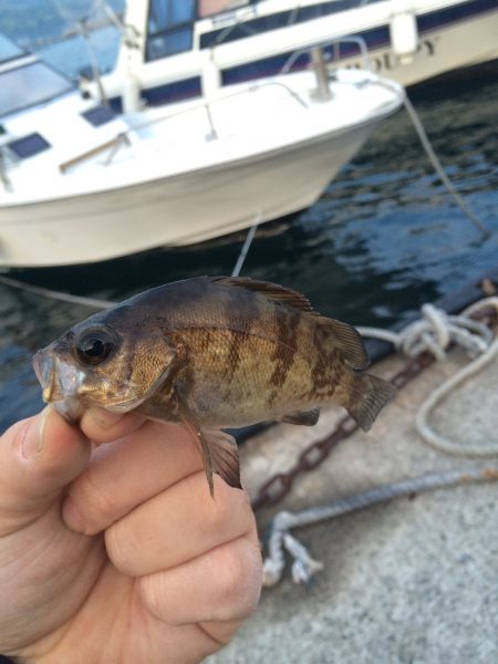 ランガンメバリング