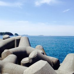 ショアプラッキング