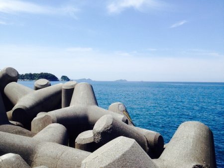 ショアプラッキング