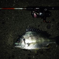 シーバスには振られましたがσ^_^;