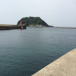 今年初のキス釣り