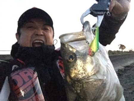 ドレパンEVOシーバス その3