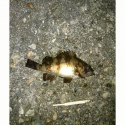 ポイント探し！