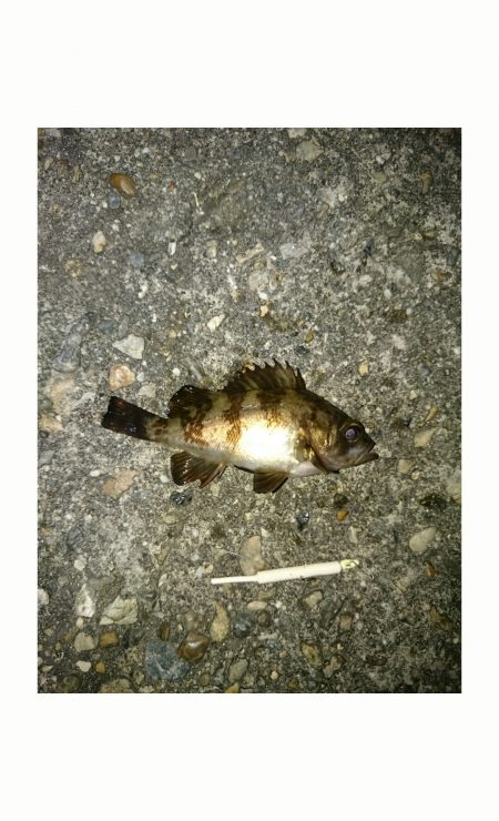 ポイント探し！