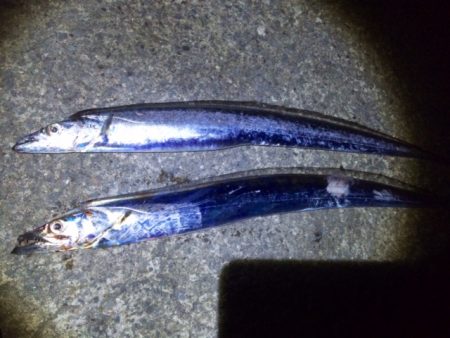 うーん、数が出ない。。。