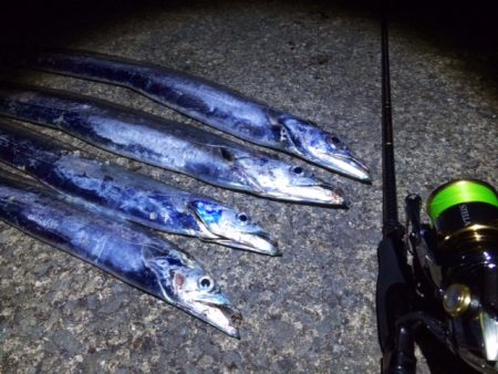 爆風タチウオ釣行！