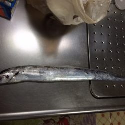 ん～、渋い。。。