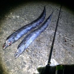 超爆風！タチウオ釣り