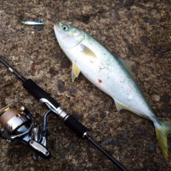 ようやく春がきました♪♪♪