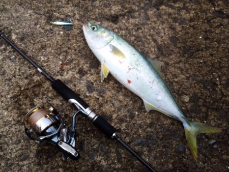 ようやく春がきました♪♪♪