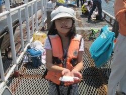 尼崎市立魚つり公園 サビキ釣りでイワシ・サッパ