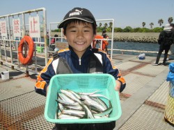 尼崎市立魚つり公園 サビキの回遊がありまし…
