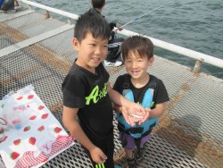 尼崎市立魚つり公園 サビキでイワシゲットで…