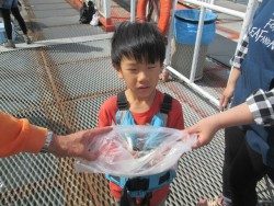 尼崎市立魚つり公園 サビキでイワシゲットです