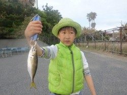 大阪南港海釣り公園 ガシラが強いです