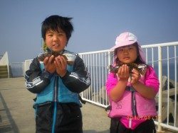 姫路市立遊魚センター 探り釣りでガシラ、アイナメ