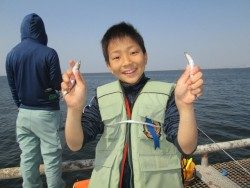 尼崎市立魚つり公園 サビキイワシとエビ撒きハネの釣果