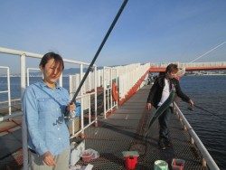 尼崎市立魚つり公園 サビキでイワシ