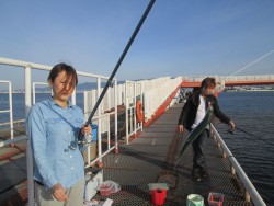 尼崎市立魚つり公園 サビキでイワシ