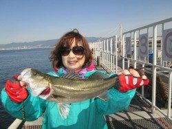 尼崎市立魚つり公園 サビキでイワシ