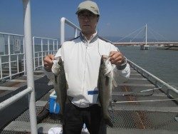 尼崎市立魚つり公園 ズボ釣りでハネの釣果