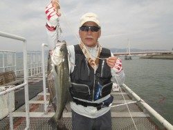 尼崎市立魚つり公園 〜53cmのハネを5匹と33cmのセイゴ