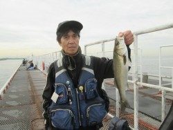 尼崎市立魚つり公園 45〜51cmのハネをキャッチ