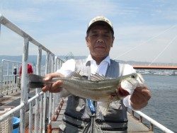 尼崎市立魚つり公園 内向きでハネの釣果
