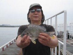 尼崎市立魚つり公園 ハネとチヌの釣果