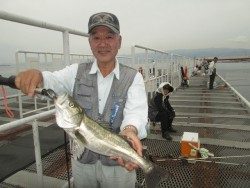 尼崎市立魚つり公園 ハネとチヌの釣果