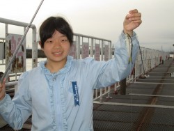 尼崎海釣公園　ズボでハネ・スズキ　サビキで…