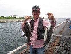 尼崎市立魚つり公園 投稿