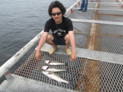 尼崎市立魚つり公園 ウキ釣りでハネ・セイゴ…