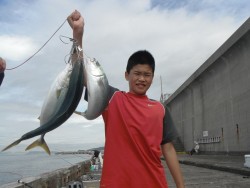 北港釣り公園　ハマチの釣果出てます