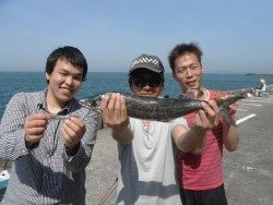 和歌山北港魚つり公園サゴシ52cm