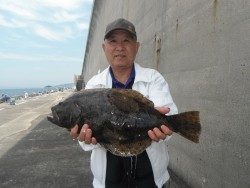 和歌山北港魚つり公園 良型マダイとヒラメの釣果です♪