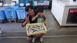 新芳養（はや）漁港  サビキでイワシ、エサ無しでも大漁！