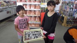 芳養（はや）にてサビキのイワシが好調