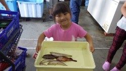 みなべ堺漁港　チョイ投げでキス・ガシラ・マダイ