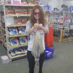 田辺天神崎　ヤエンでアオリイカ2.7ｋｇ