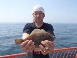 神戸市立平磯海づり公園 カレイ好調キープ