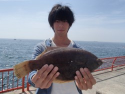 神戸市立平磯海づり公園 アオムシをエサにカ…