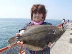 神戸市立平磯海づり公園 カレイ37.5ｃｍをゲット！