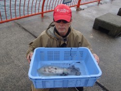 神戸市立平磯海づり公園 エギングで900ｇ…