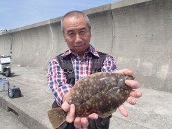 平磯海釣り公園　投げ釣りでカレイ33cm