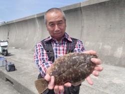 平磯海釣り公園　投げ釣りでカレイ33cm