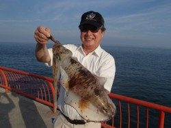 神戸市立平磯海づり公園 エギングでアオリイカ1500g