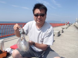 神戸市立平磯海づり公園 エギングでアオリイ…